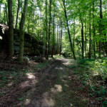 image: Image from the photoset ‘
beaufort (ii)
’.