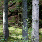 image: Image from the photoset ‘
beaufort (ii)
’.