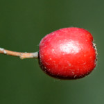 image: Image from the photoset ‘
rumelange (xvi)
’.