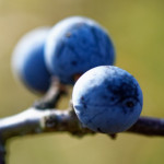 image: Image from the photoset ‘
rumelange (xvi)
’.