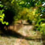 image: Image from the photoset ‘
rumelange (xvi)
’.