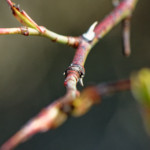 image: Image from the photoset ‘
rumelange (xvi)
’.