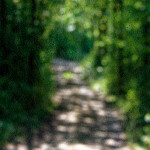 image: Image from the photoset ‘
rumelange (xvi)
’.