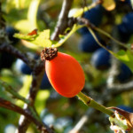 image: Image from the photoset ‘
rumelange (xvi)
’.