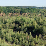 image: Image from the photoset ‘
rumelange (xvii)
’.