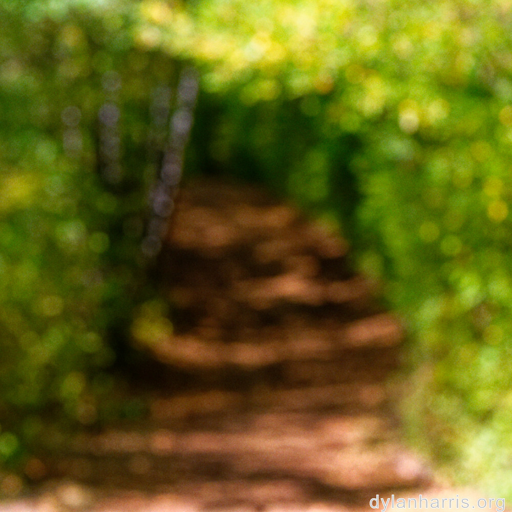 image: This is ‘
belvaux (xii) 1
’.