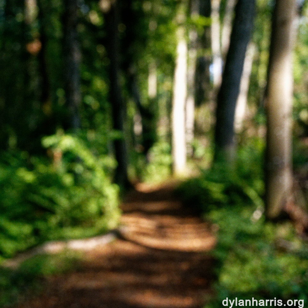 image: This is ‘
belvaux (xii) 2
’.