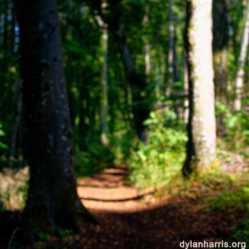 image: This is ‘
belvaux (xii) 3
’.