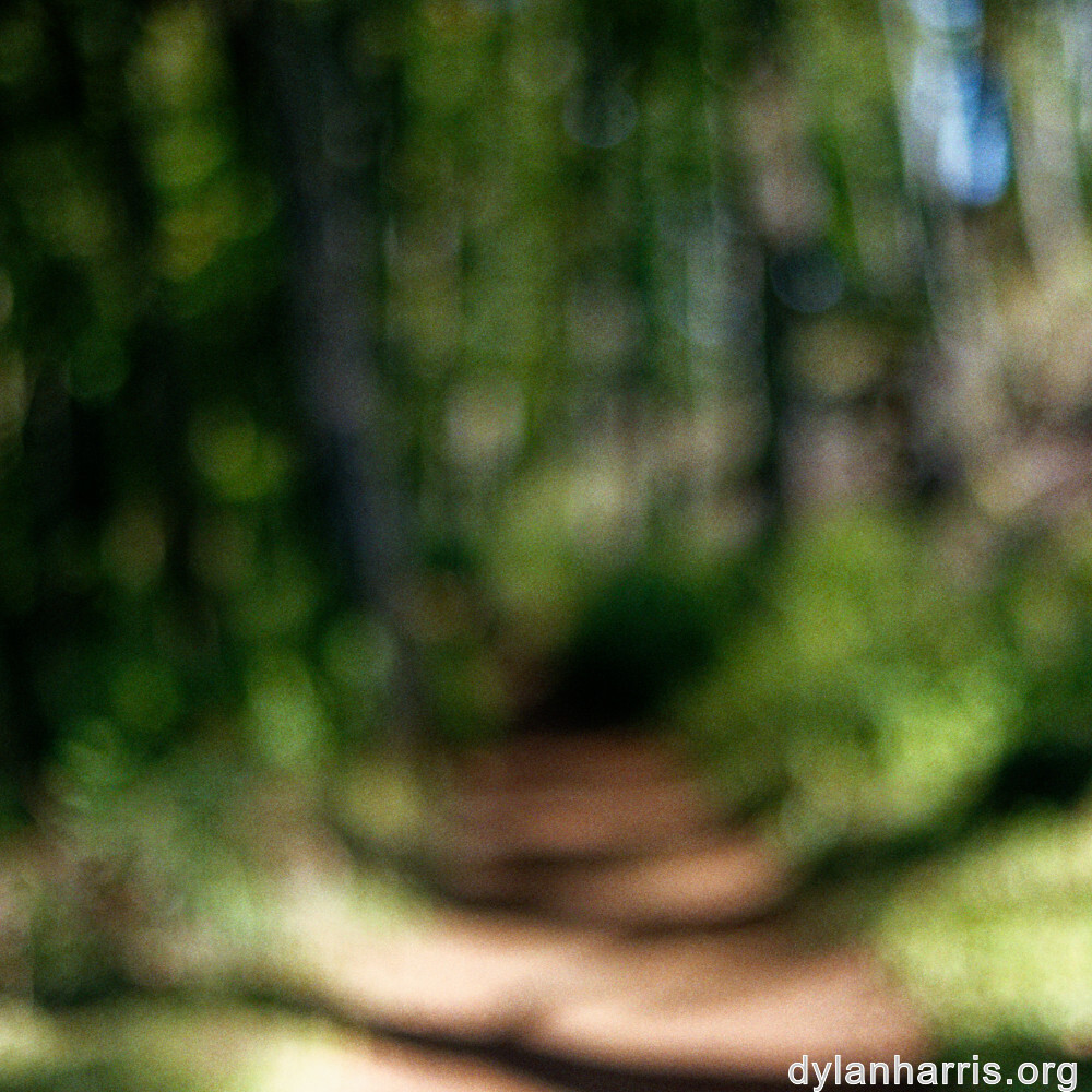 image: This is ‘
belvaux (xii) 5
’.