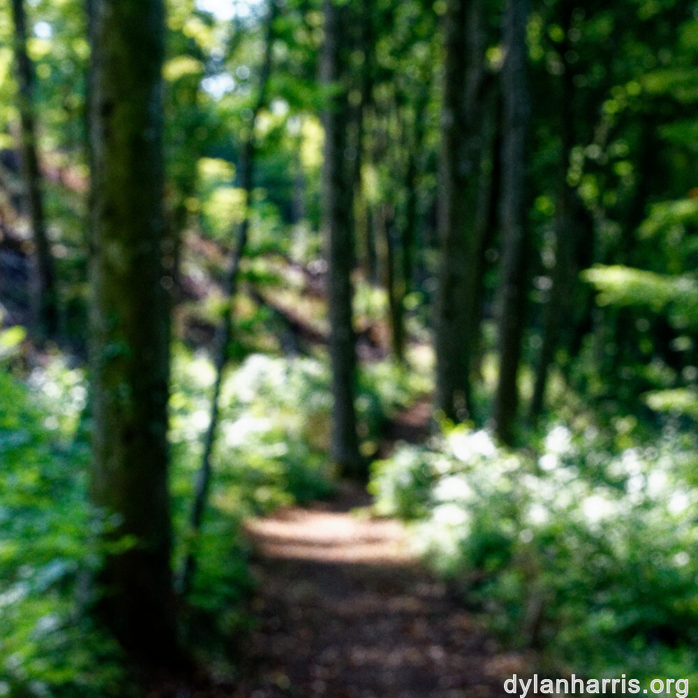 image: This is ‘
belvaux (xii) 6
’.