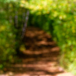 image: Image from the photoset ‘
belvaux (xii)
’.