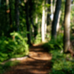 image: Image from the photoset ‘
belvaux (xii)
’.