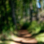 image: Image from the photoset ‘
belvaux (xii)
’.