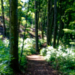 image: Image from the photoset ‘
belvaux (xii)
’.