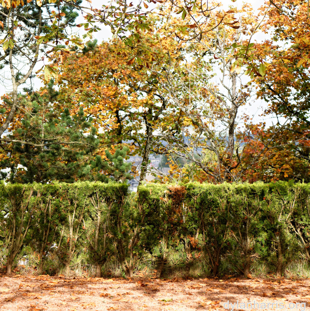 image: This is ‘
parc (xliv) 1
’.