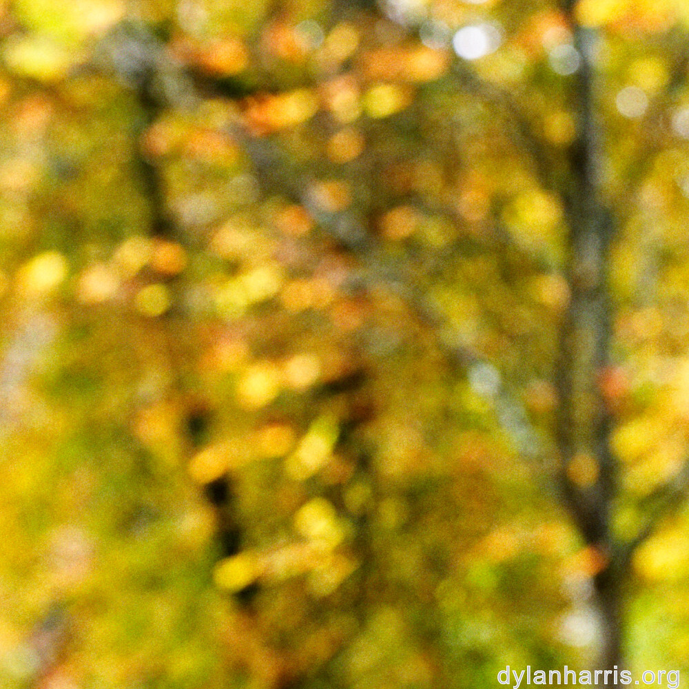 image: This is ‘
parc (xliv) 2
’.