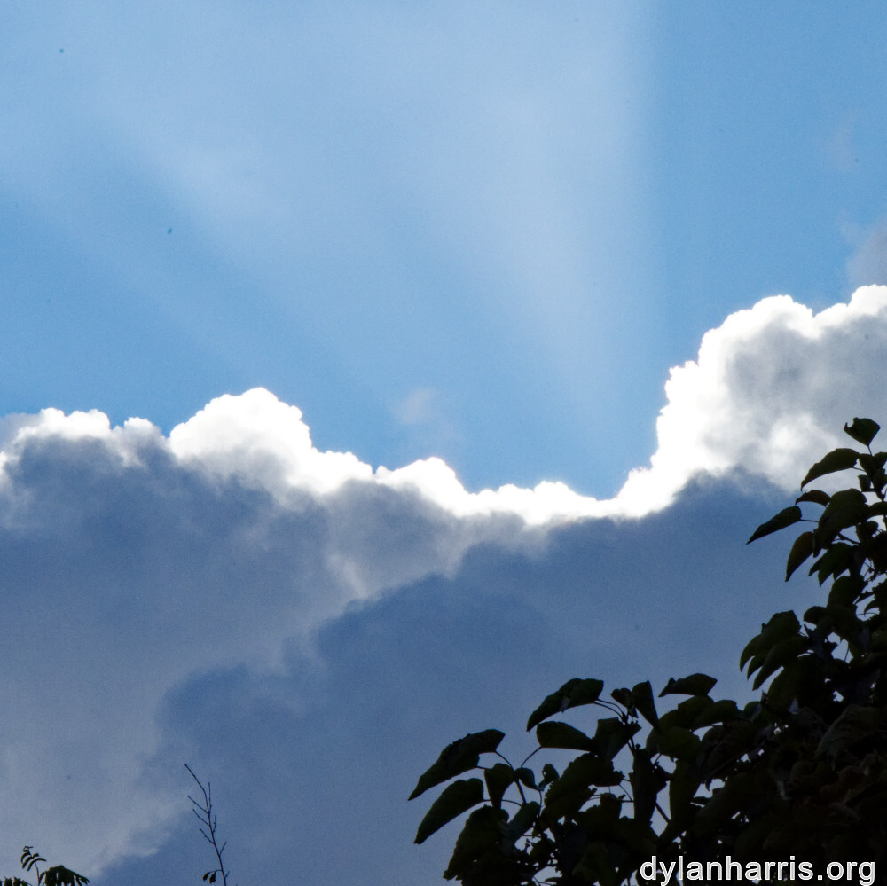 image: This is ‘
parc (xliv) 7
’.