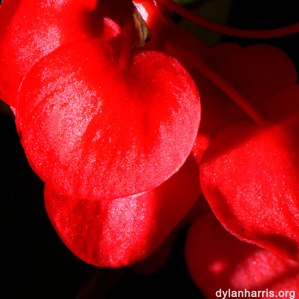 image: This is ‘
parc (xliv) 8
’.