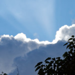 image: Image from the photoset ‘
parc (xliv)
’.