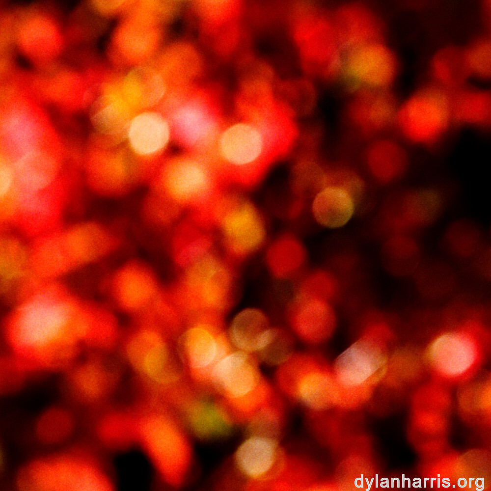 image: This is ‘
escher blummen (clxii) 1
’.