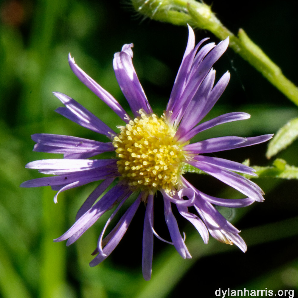 image: This is ‘
rumelange 2
’.