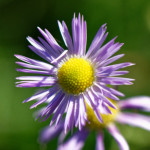 image: Image from the photoset ‘
rumelange (xx)
’.