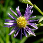 image: Image from the photoset ‘
rumelange (xx)
’.