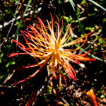 image: Image from the photoset ‘
rumelange (xx)
’.