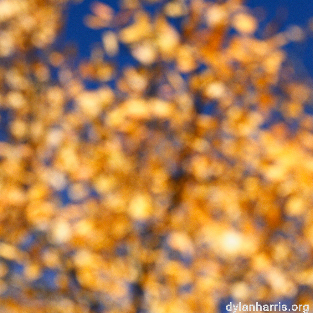 image: This is ‘
rumelange 2
’.