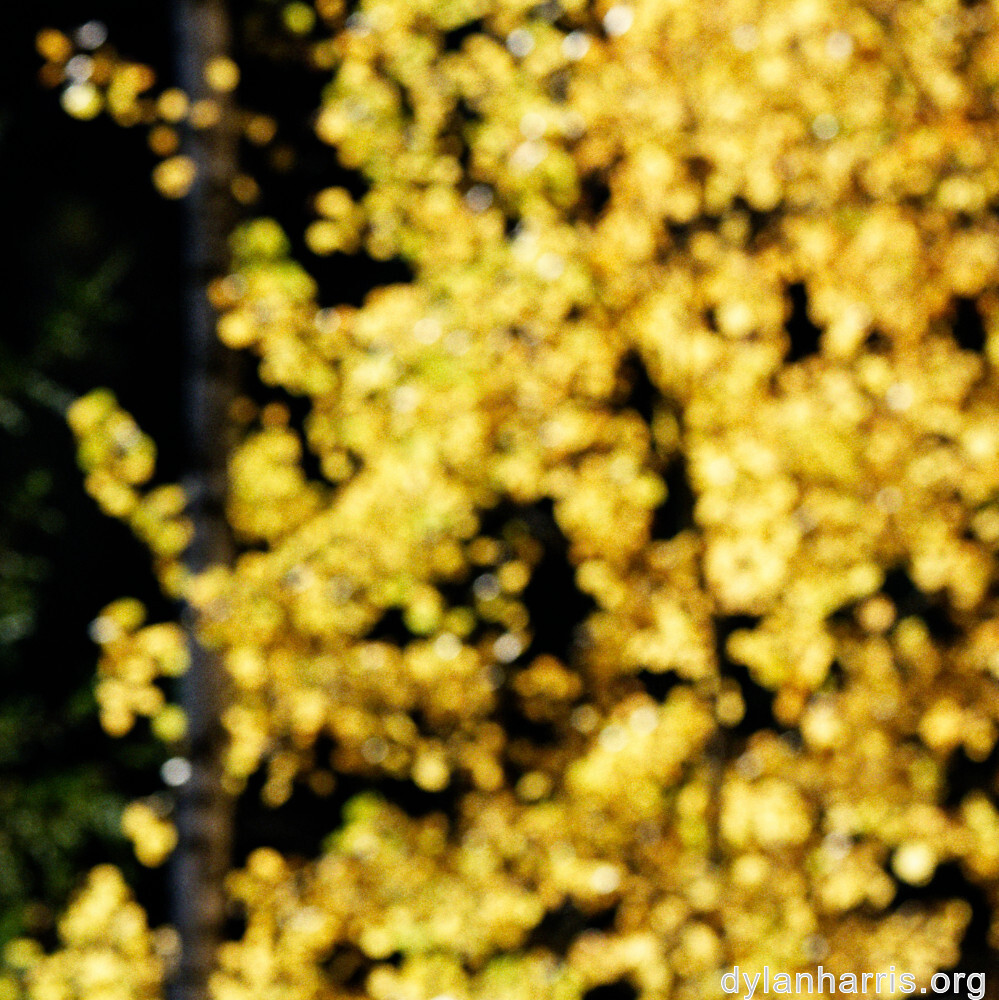 image: This is ‘
rumelange 3
’.