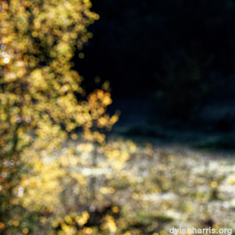 image: This is ‘
rumelange 4
’.