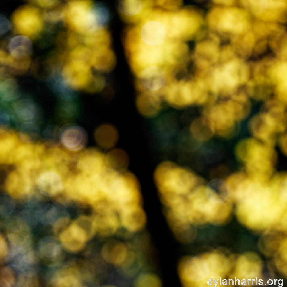 image: This is ‘
rumelange 5
’.