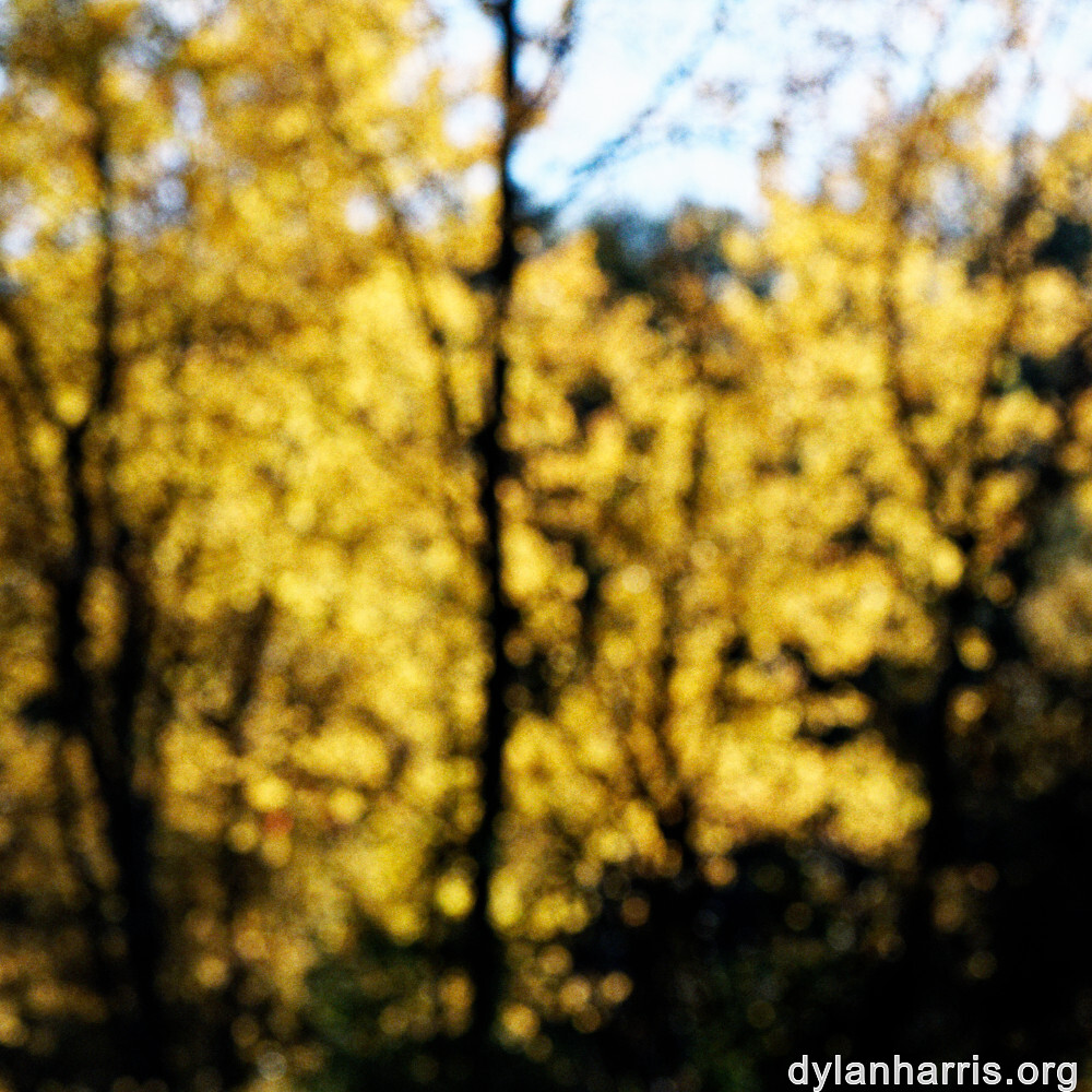 image: This is ‘
rumelange 8
’.