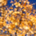 image: Image from the photoset ‘
rumelange (xxi)
’.