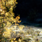 image: Image from the photoset ‘
rumelange (xxi)
’.