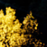 image: Image from the photoset ‘
rumelange (xxi)
’.