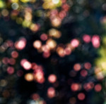 image: Image from the photoset ‘
rumelange (xxi)
’.