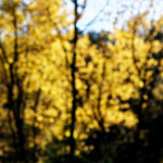 image: Image from the photoset ‘
rumelange (xxi)
’.