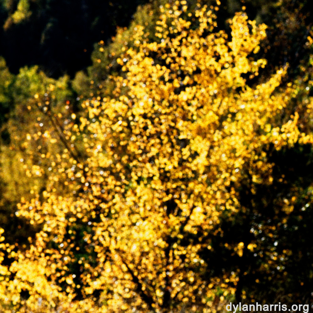 image: This is ‘
rumelange 5
’.