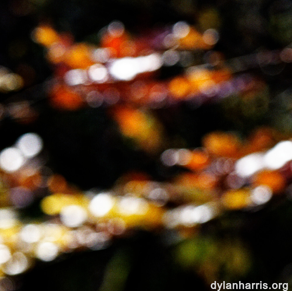 image: This is ‘
rumelange 6
’.