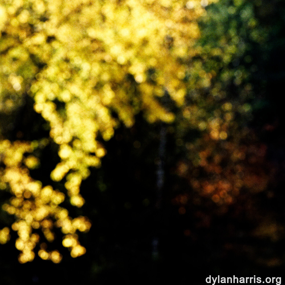 image: This is ‘
rumelange 7
’.