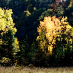 image: Image from the photoset ‘
rumelange (xxii)
’.