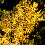 image: Image from the photoset ‘
rumelange (xxii)
’.