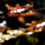 image: Image from the photoset ‘
rumelange (xxii)
’.