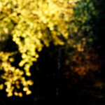 image: Image from the photoset ‘
rumelange (xxii)
’.