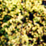 image: Image from the photoset ‘
rumelange (xxii)
’.