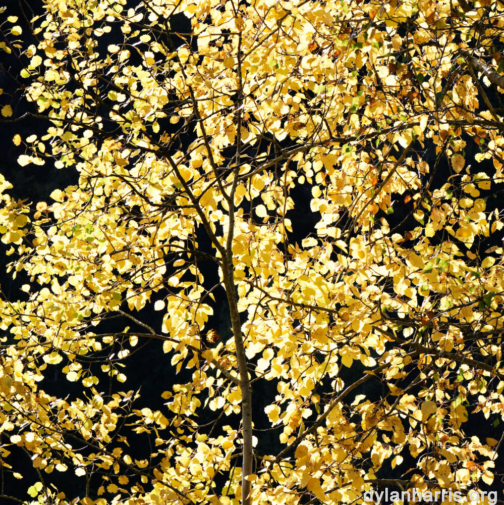 image: This is ‘
rumelange 1
’.