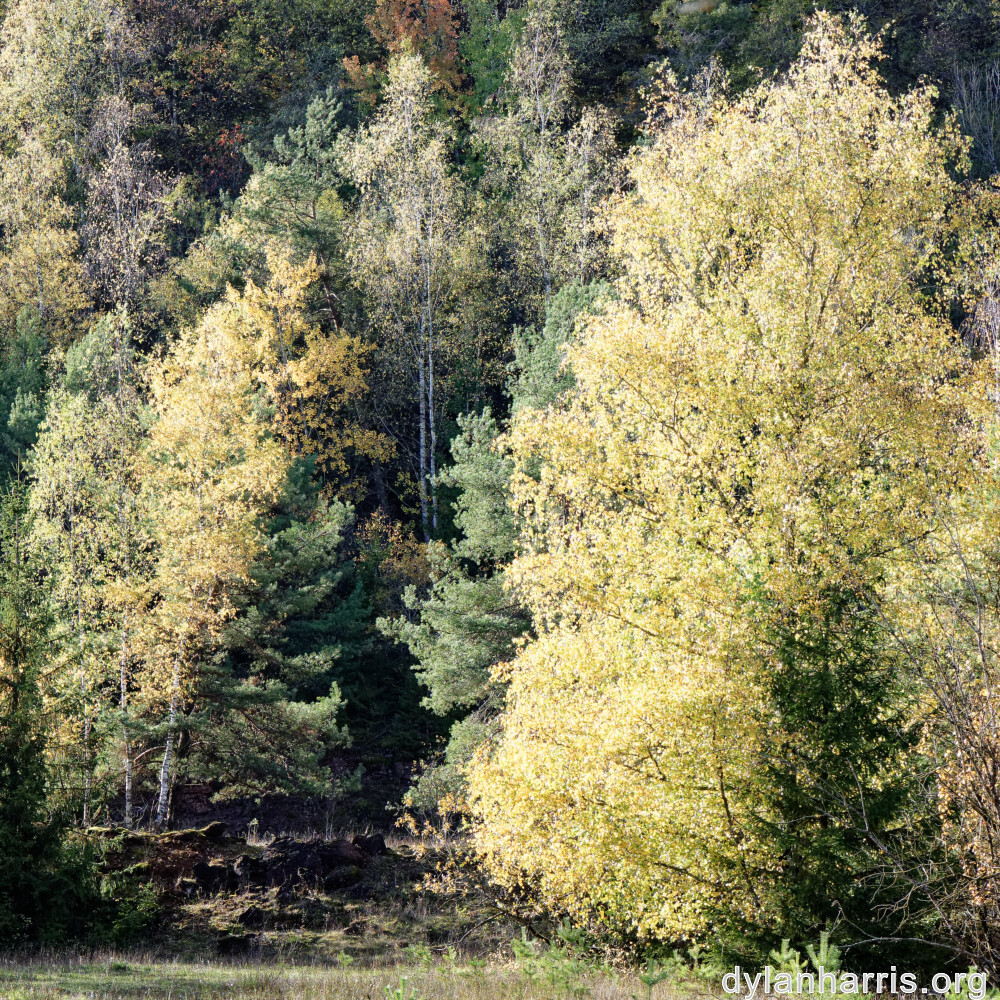 image: This is ‘
rumelange 4
’.