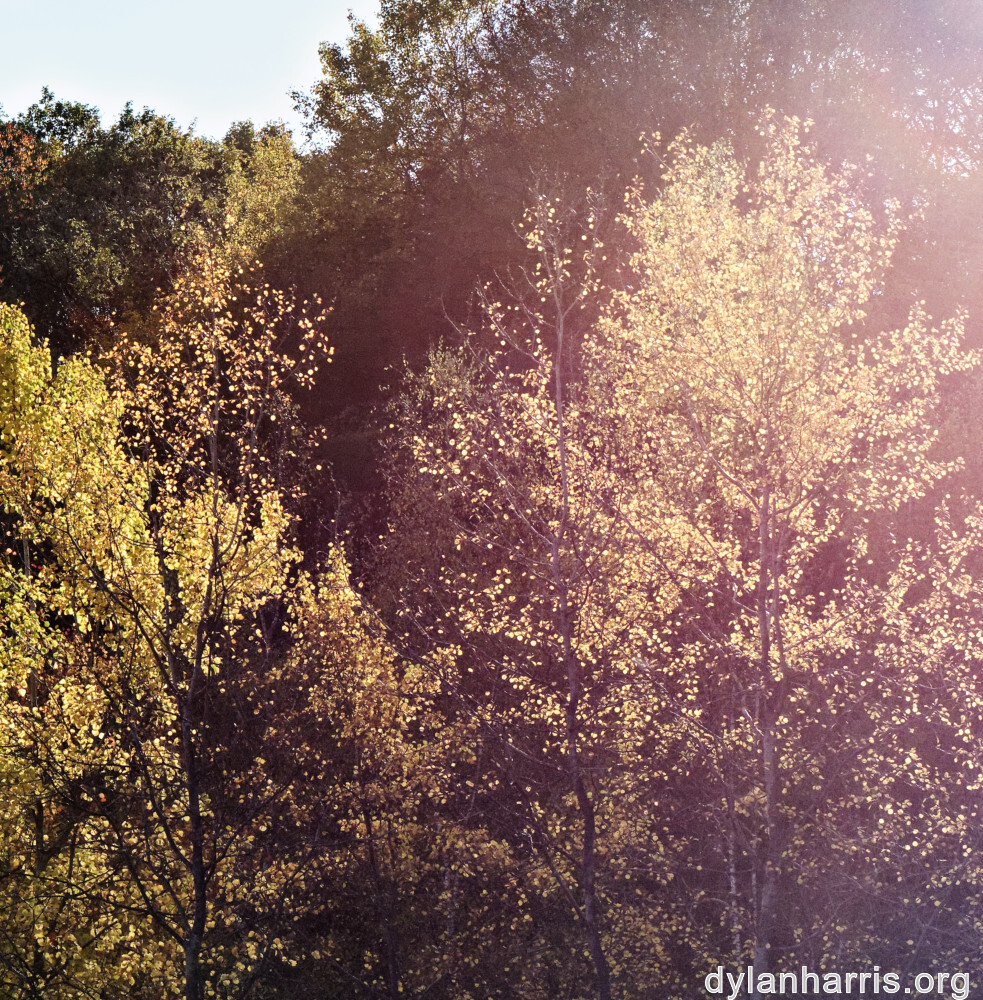 image: This is ‘
rumelange 5
’.