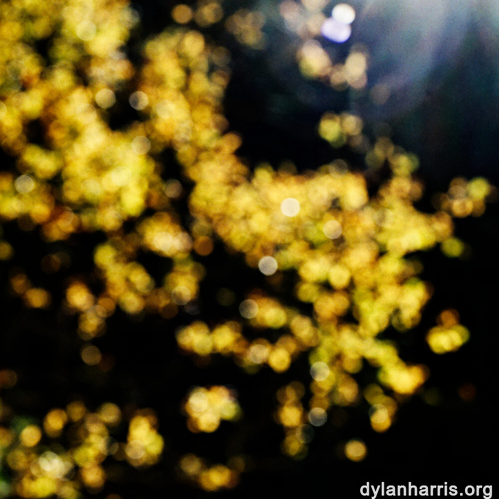 image: This is ‘
rumelange 7
’.